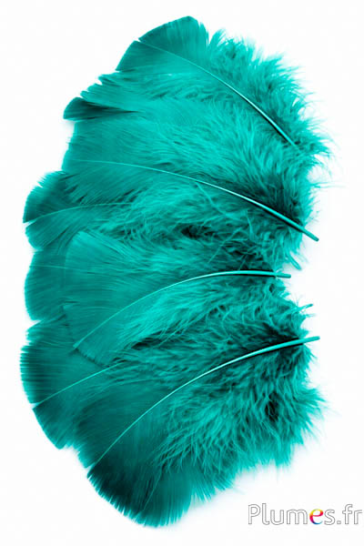 Tacchina - 6-8 cm - giada